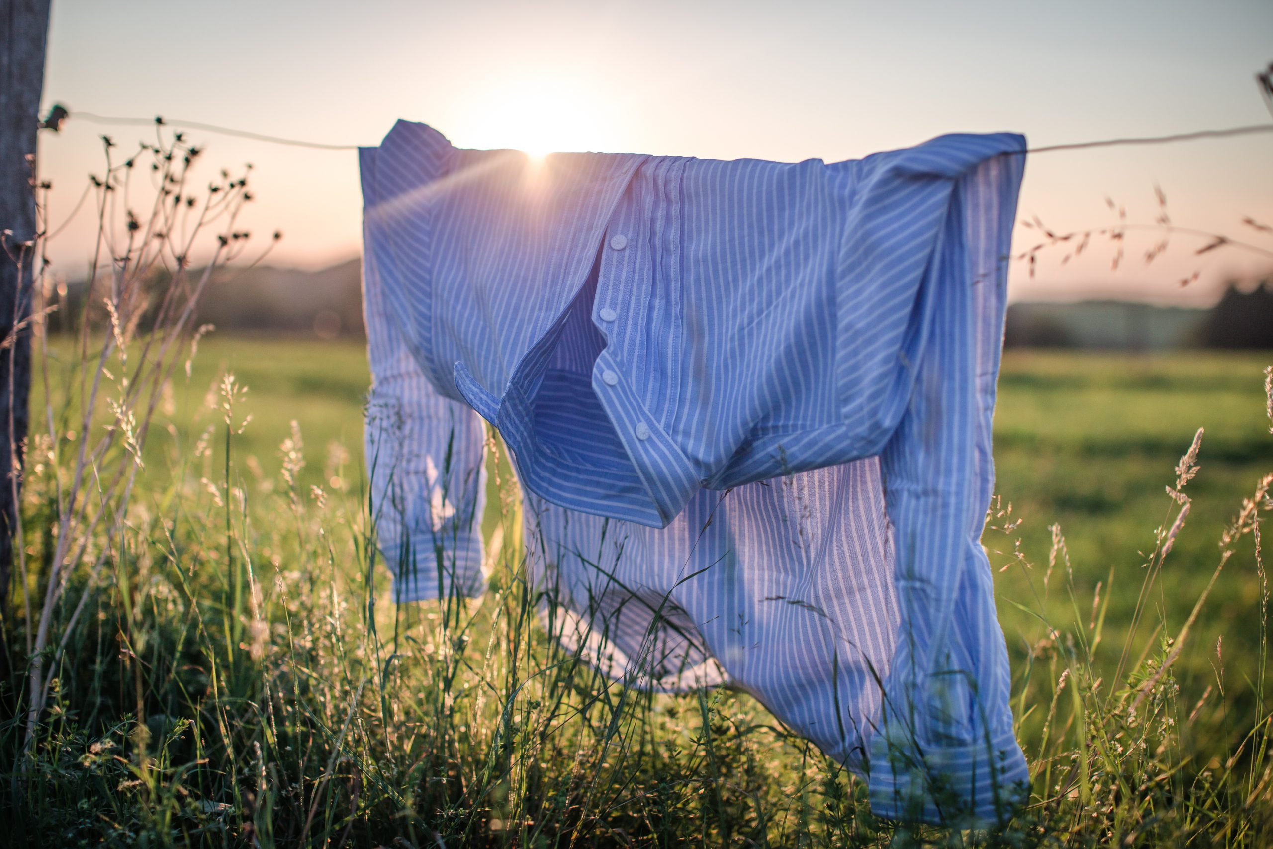 breiterStreifen.hundsansscho_8