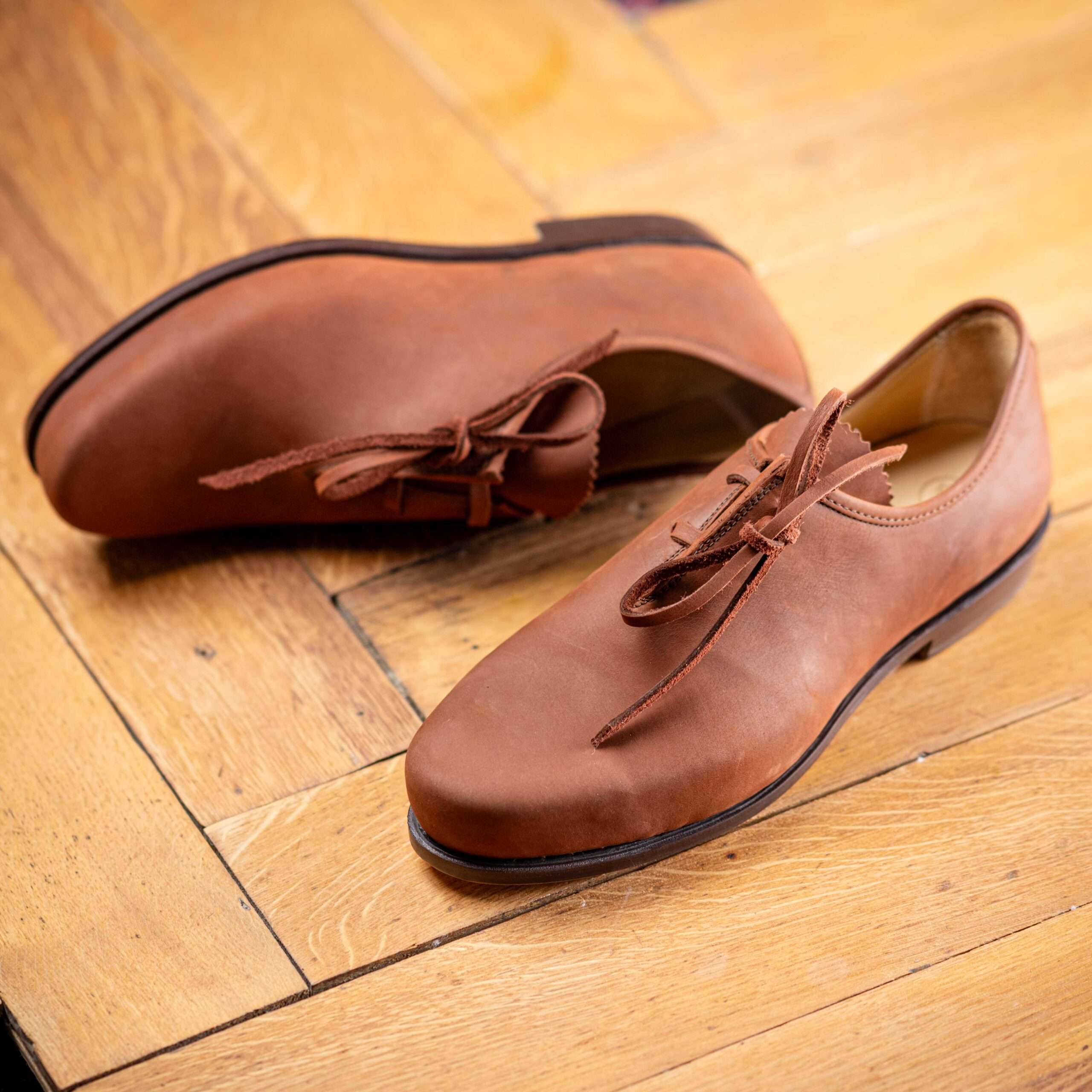 Hund Sans Scho Feger Buche 4789 scaled